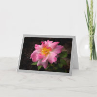 Goldene Mitte der vibrierenden rosa Rose