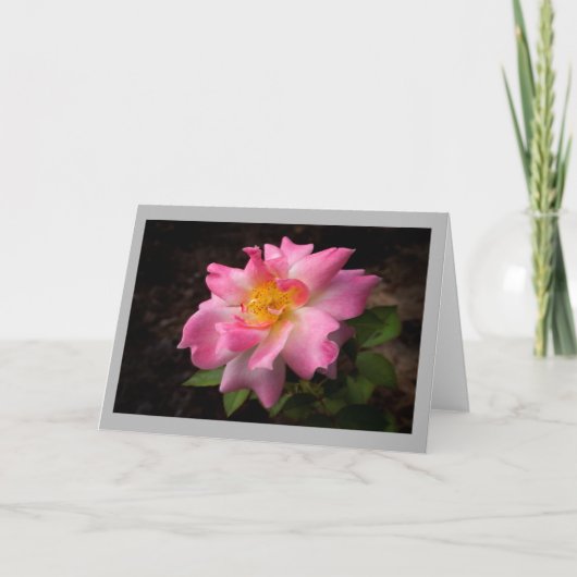 Goldene Mitte der vibrierenden rosa Rose Karte (Vorderseite)