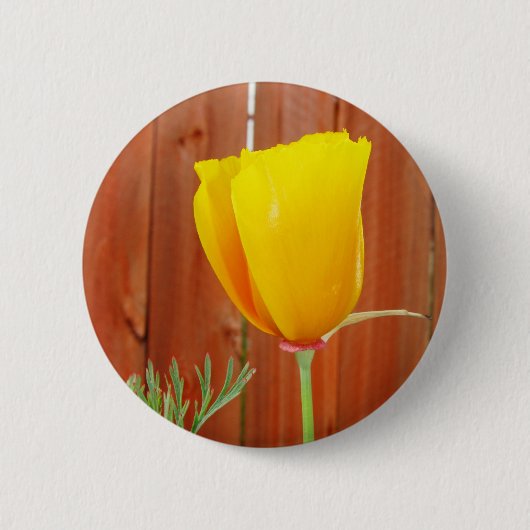 Goldene Mohnblume Button (Vorderseite)