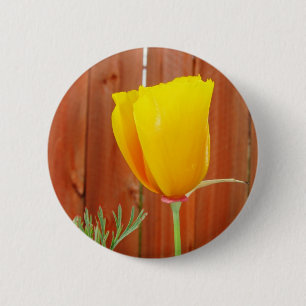 Goldene Mohnblume Button