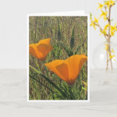 Goldene Mohnblumen - 2 Karte (Gelbe Blume)
