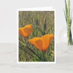 Goldene Mohnblumen (Innen leer) Karte