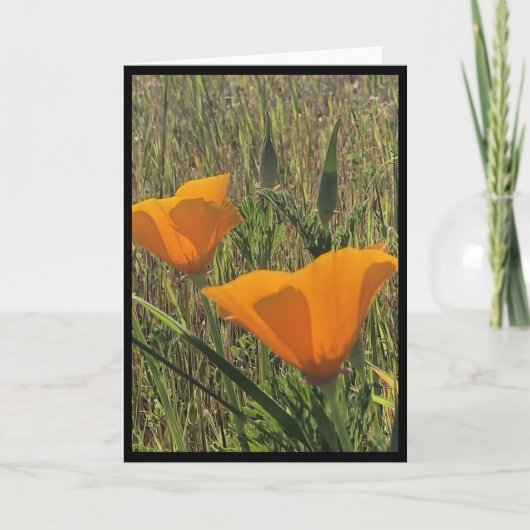 Goldene Mohnblumen Osterkarte 3 Karte (Vorderseite)