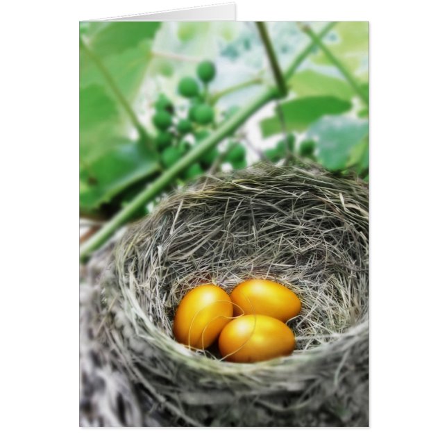 Goldene Nesteier (Vorne)