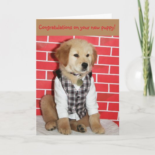 Goldene neue Welpe Karte (Vorderseite)
