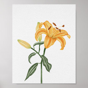 Goldene Orange Lilie Botanische Aquarell-Blume Poster
