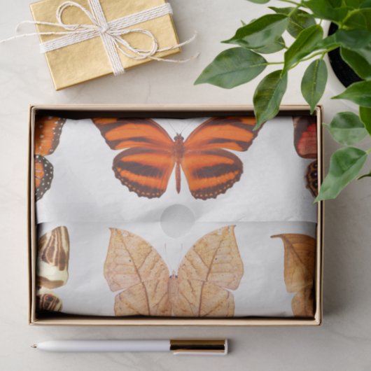 Goldene Orange-Schmetterlingssammlung Seidenpapier (Geschenk)