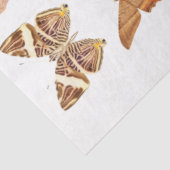 Goldene Orange-Schmetterlingssammlung Seidenpapier (Ausschnitt)