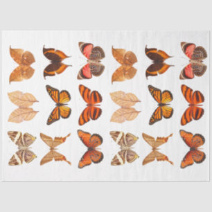 Goldene Orange-Schmetterlingssammlung Seidenpapier