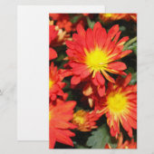Goldene, orangefarbene Blume. Briefpapier (Vorne/Hinten)