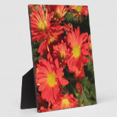 Goldene, orangefarbene Blume. Fotoplatte (Seite)