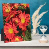 Goldene, orangefarbene Blume. Fotoplatte (Seite)