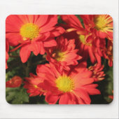 Goldene, orangefarbene Blume. Mousepad (Vorne)