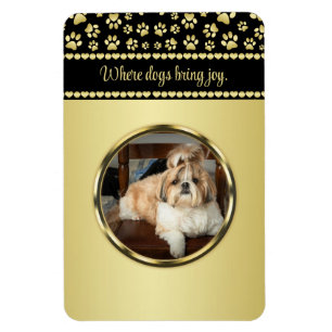 Goldene Pfotenabdrücke auf Schwarz mit individuell Magnet