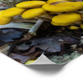 Goldene Pilze Poster (Ecke)