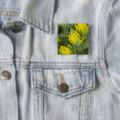 Goldene Pinsel Castilleja Button (Beispiel)