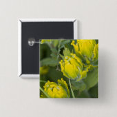 Goldene Pinsel Castilleja Button (Vorne & Hinten)