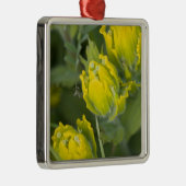 Goldene Pinsel Castilleja Silbernes Ornament (Rechts)