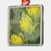 Goldene Pinsel Castilleja Silbernes Ornament (Links)