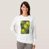 Goldene Pinsel Castilleja T-Shirt (Vorne ganz)