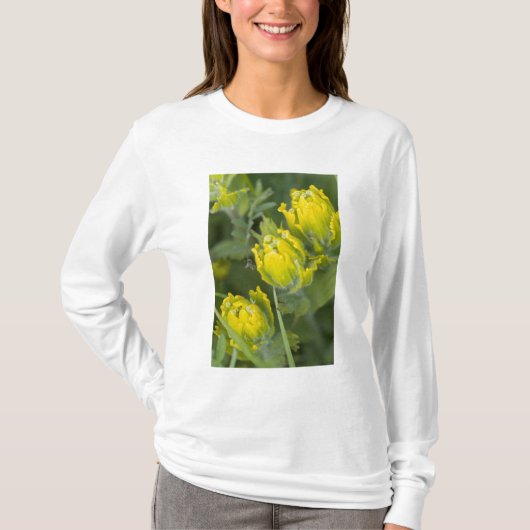 Goldene Pinsel Castilleja T-Shirt (Vorderseite)