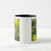 Goldene Pinsel Castilleja Tasse (Zentrum)