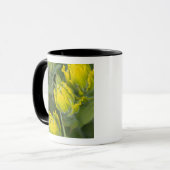 Goldene Pinsel Castilleja Tasse (Vorderseite Links)