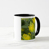 Goldene Pinsel Castilleja Tasse (VorderseiteRechts)