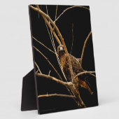 Goldene Plaque Fotoplatte (Seite)