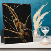 Goldene Plaque Fotoplatte (Seite)
