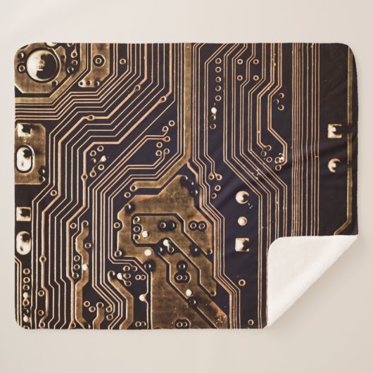 Goldene Platine. Elektronische Computerhardware Sherpadecke (Vorderseite (Horizontal))