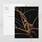 Goldene Postkarte (Vorne/Hinten)