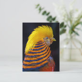 Goldene Postkarte (Stehend Vorderseite)