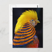 Goldene Postkarte (Vorne/Hinten)