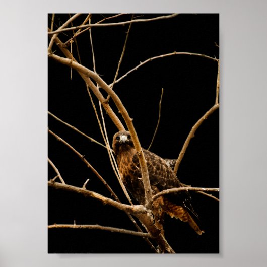 Goldene Print Poster (Vorne)