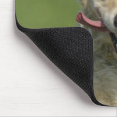 Goldene Retrieve, die durch Wiese läuft Mousepad (Ecke)
