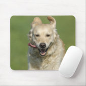 Goldene Retrieve, die durch Wiese läuft Mousepad (Mit Mouse)