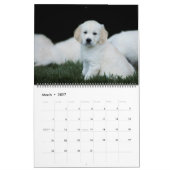 Goldene Retriever 2019 Kalender (Mär 2027)