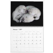 Goldene Retriever 2019 Kalender (Feb 2027)