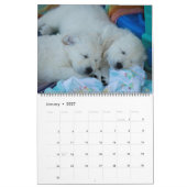 Goldene Retriever 2019 Kalender (Jan 2027)