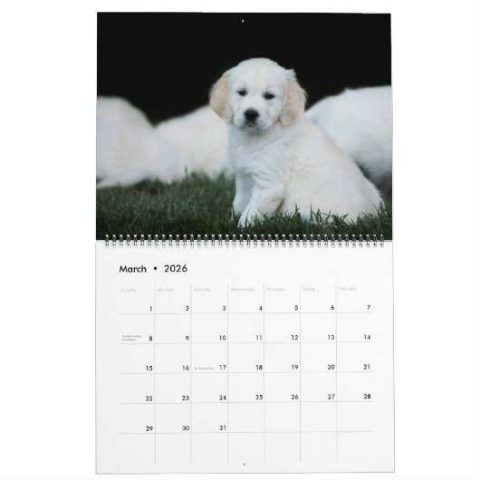 Goldene Retriever 2019 Kalender (Mär 2026)