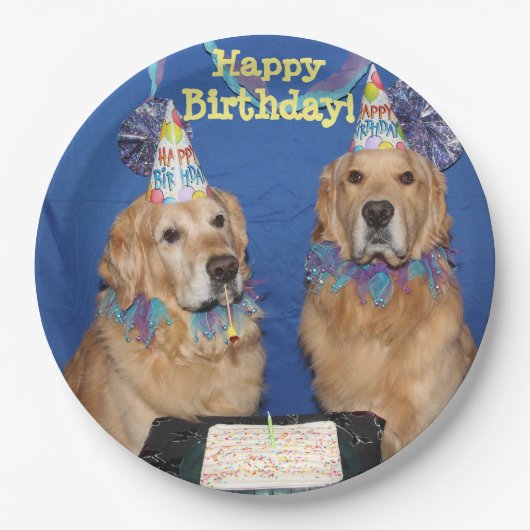 Goldene Retriever-alles- Gute zum Geburtstagkuchen Pappteller (Vorderseite)