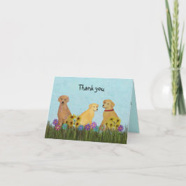 Goldene Retriever danken Ihnen Karten