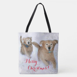 Goldene Retriever, die durch das Tasche
