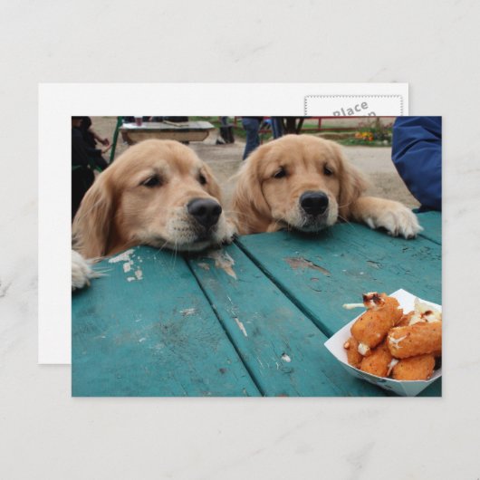 Goldene Retriever Geburtstagswünsche Postkarte (Vorne/Hinten)