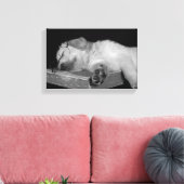 Goldene Retriever im alten Buch Leinwanddruck (Insitu (Wohnzimmer))