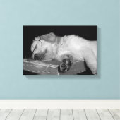 Goldene Retriever im alten Buch Leinwanddruck (Insitu (Holzboden))