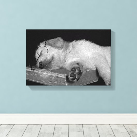 Goldene Retriever im alten Buch Leinwanddruck (Insitu (Holzboden))