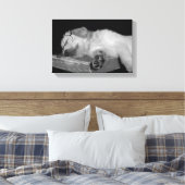 Goldene Retriever im alten Buch Leinwanddruck (Insitu (Schlafzimmer))