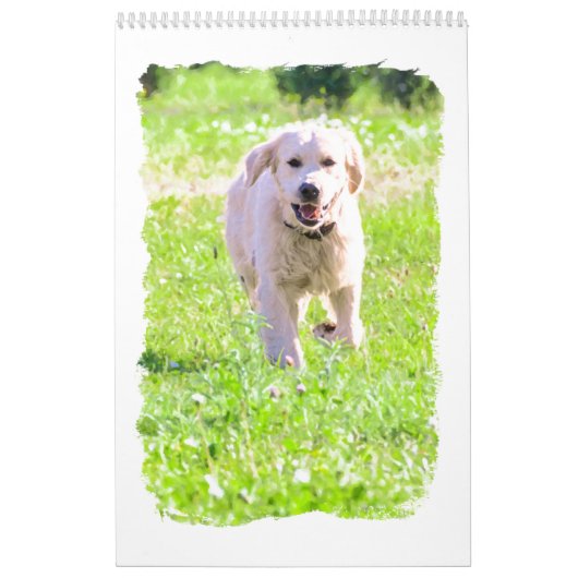 Goldene Retriever Kalender (Titelbild)